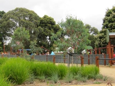 Montrose Playground after revegetation